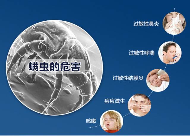 螨蟲的危害