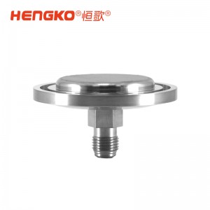 微電子半導體晶圓制程工藝氣體過濾終端 316L 外殼快速進氣擴散器