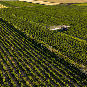 農(nóng)業(yè)大棚溫濕度監(jiān)控系統(tǒng)的升級方案有幾種呢？